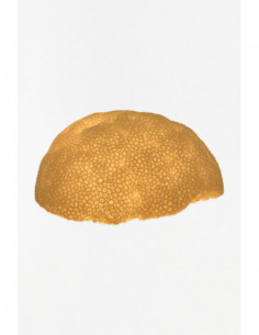 Lámpara de coral marino 