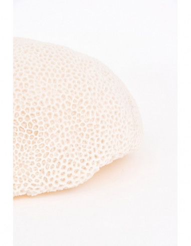  Coral de resina 