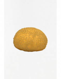 Coral marino de resina 