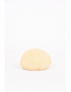 Coral marino de resina  2