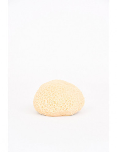  Coral resina blanco 