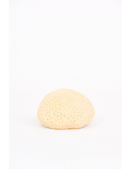 Coral resina blanco 