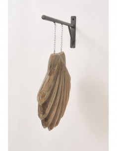 Concha marina de hojalata  2