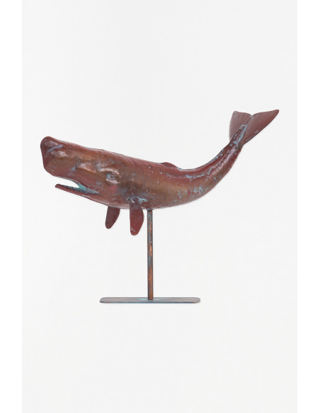 Ballena marrón grande 