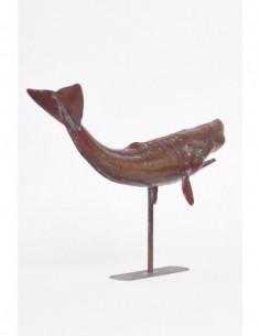 Ballena marrón grande  2