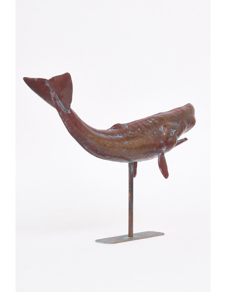  Ballena marina grande 