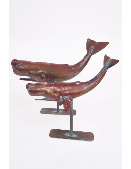  Ballenas marrón metal 