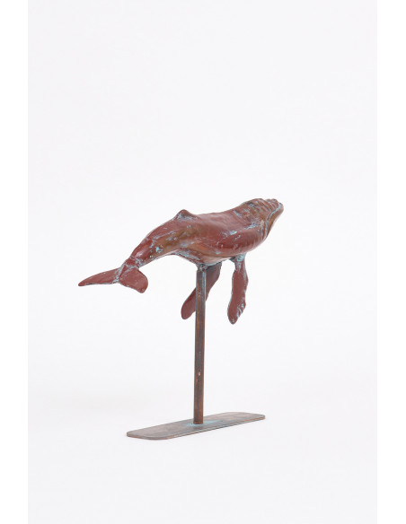  Ballena navy 