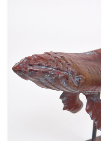  Cabeza de ballena marrón 