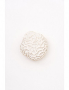 Coral pequeño decorativo  2
