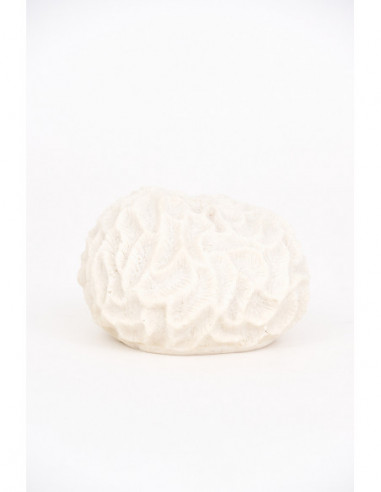  Coral blanco de resina 