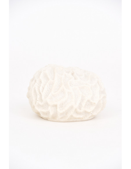  Coral blanco de resina 