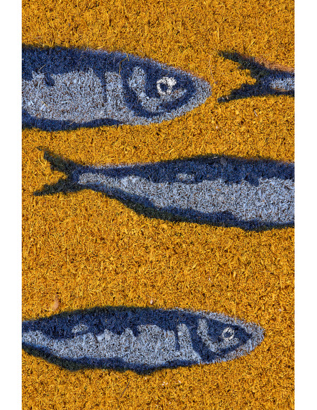 Felpudo de peces marinos 
