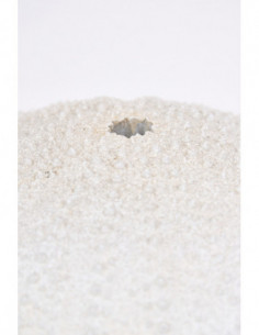 Erizo de resina marino  2