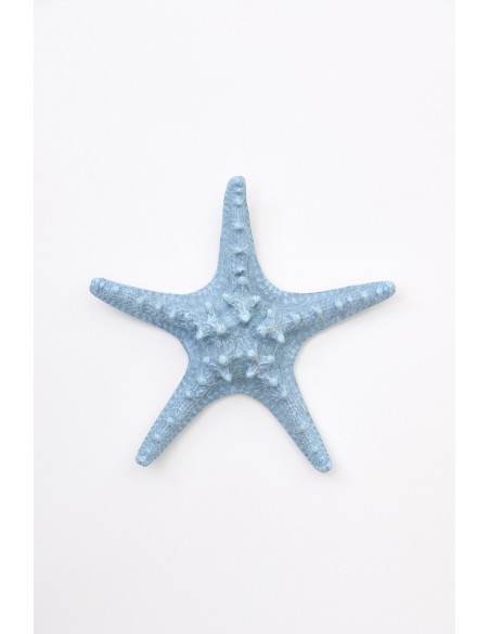 Estrella de mar celeste 