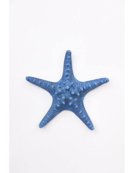  Estrella de mar azulino 