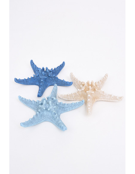  Conjunto de estrellas marinas 