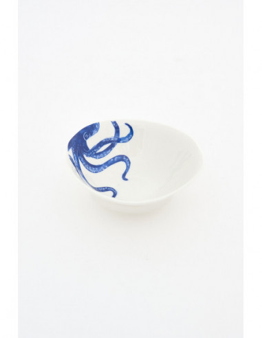  Plato pulpo 