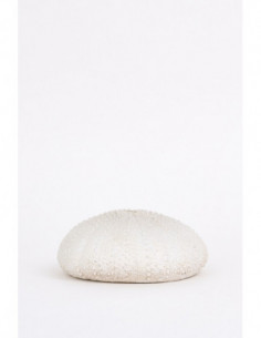 Erizo de resina grande  2