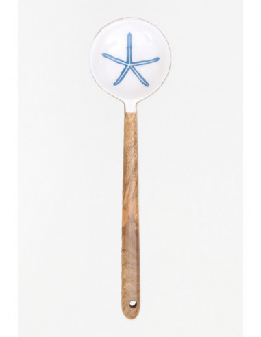  Cuchara estrella de mar 
