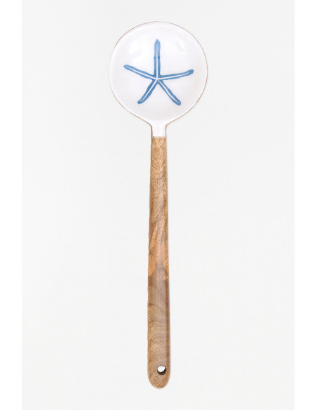  Cuchara estrella de mar 