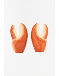 Sal pimentero y salero 