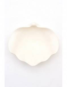 Concha blanca de resina 