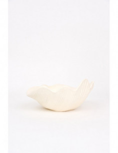 Concha blanca de resina  2