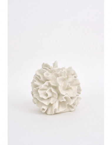  Coral decorativo 
