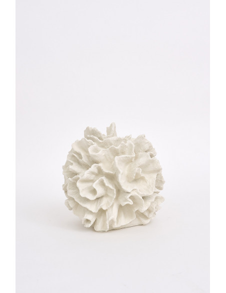 Coral decorativo 