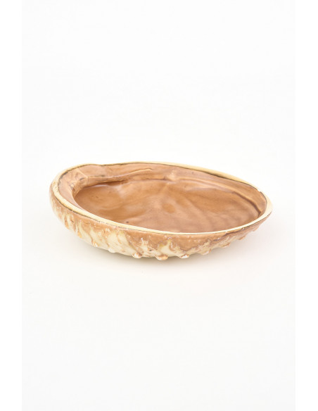 Plato navy diseño concha 