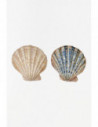 Plato conchas brillantes 