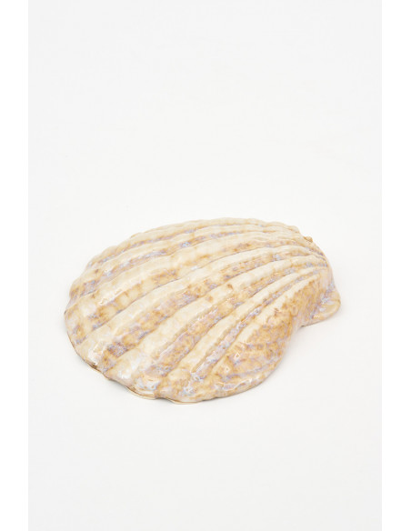  Concha blanca de cerámica 