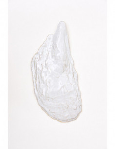 Ostra de cerámica  2