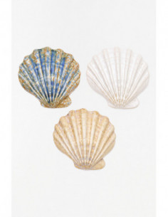 Conchas de cerámicas brillantes 