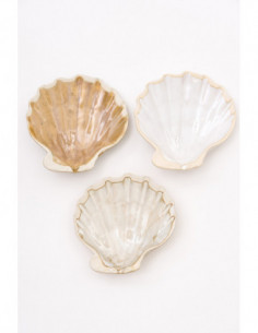 Conchas de cerámicas brillantes  2