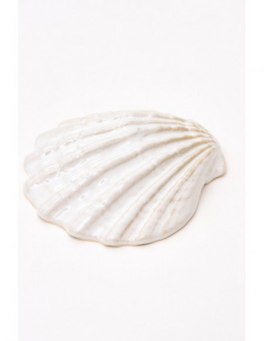 Concha blanca cerámica 