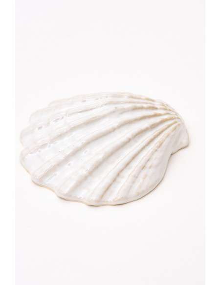  Concha blanca cerámica 