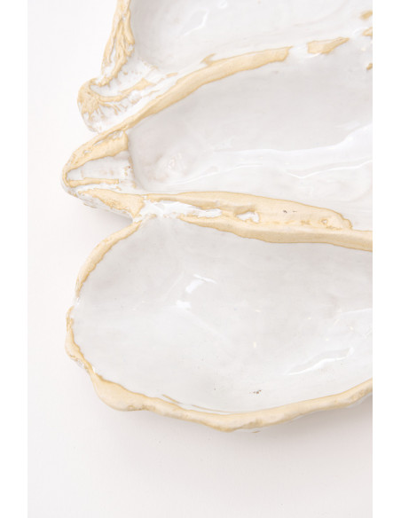  Ostra cerámica blanca 