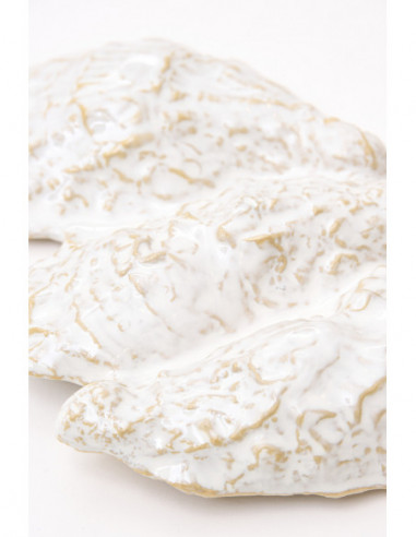  Ostra cerámica blanco 