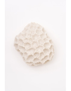 Lámpara de coral blanca de resina