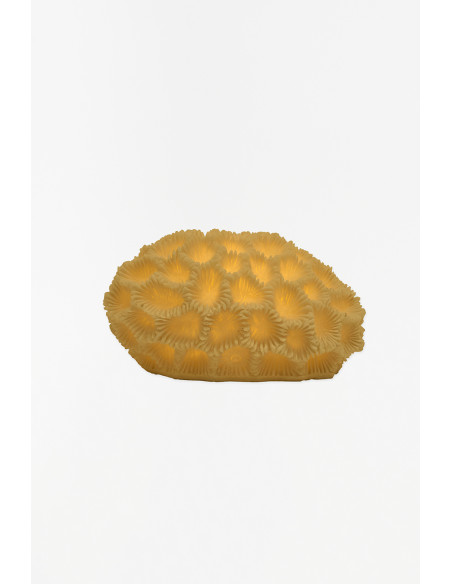 Lámpara de coral blanca de resina