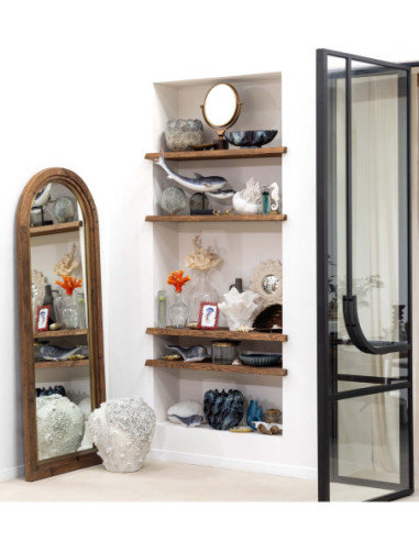  concha decorativa