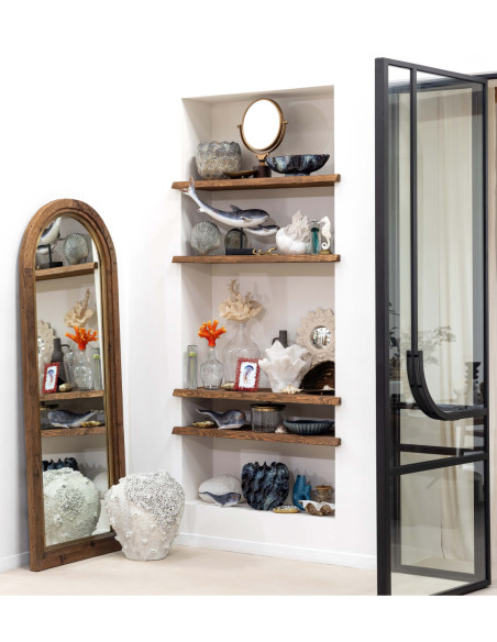  concha decorativa