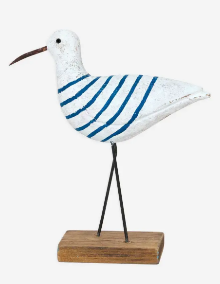 Pájaro marinero pequeño 
