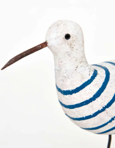  Pájaro marinero pequeño 