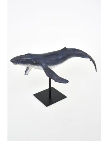  ballena jorobada con soporte 