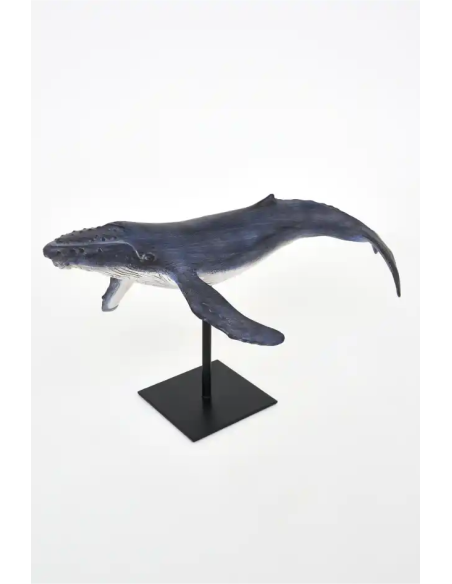  ballena jorobada con soporte 
