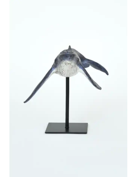  ballena jorobada con soporte 