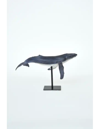  ballena jorobada con soporte